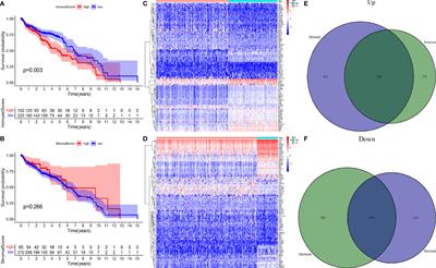 Identification and Validation of Immune-Related Gene for Predicting Prognosis and Therapeutic Response in Ovarian Cancer